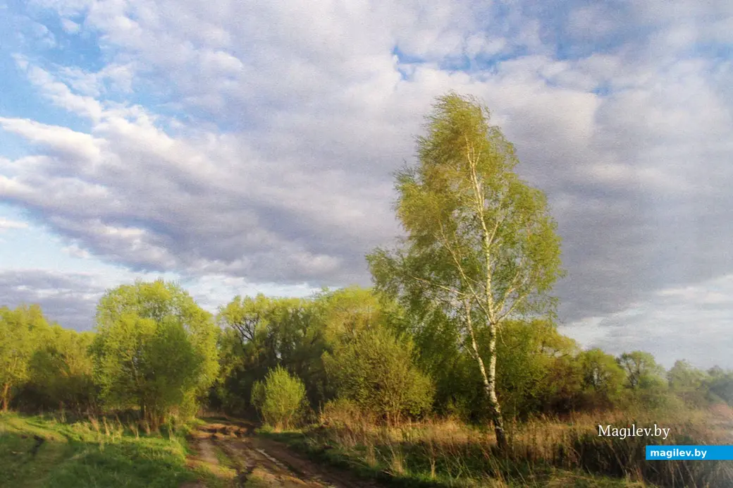 Выставка работ Николая Хотяинцева «Весны чарующая сила…» в Могилевском областном краеведческом музее. Могилев 31 марта 2023 года.