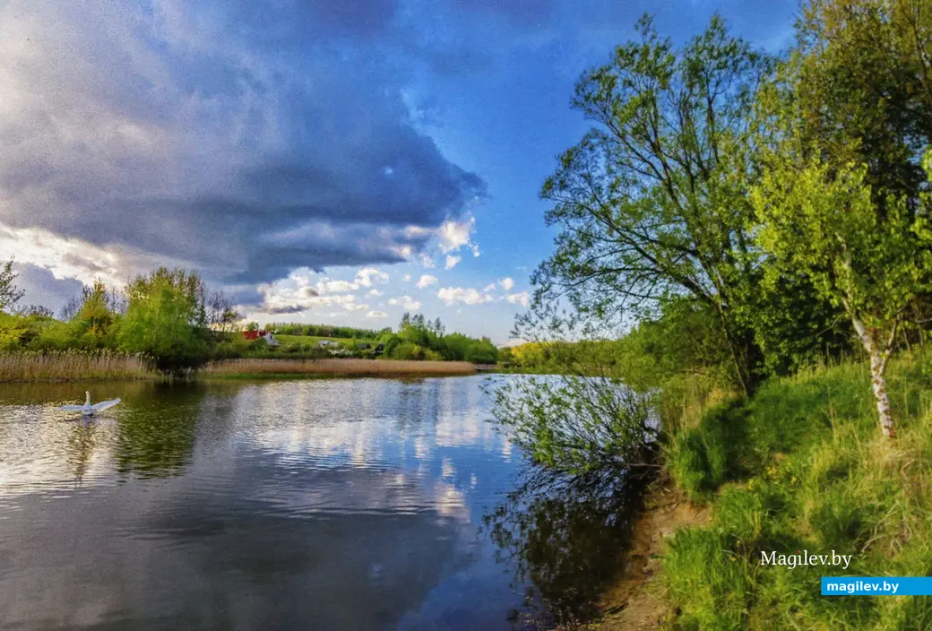 Выставка работ Николая Хотяинцева «Весны чарующая сила…» в Могилевском областном краеведческом музее. Могилев 31 марта 2023 года.