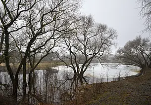 Оранжевый уровень опасности из-за тумана объявлен в Беларуси на 2 апреля