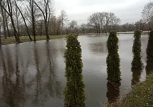«Чайки кричат так, что человеческого голоса не слышно»: в Могилеве затопило парк Подниколье