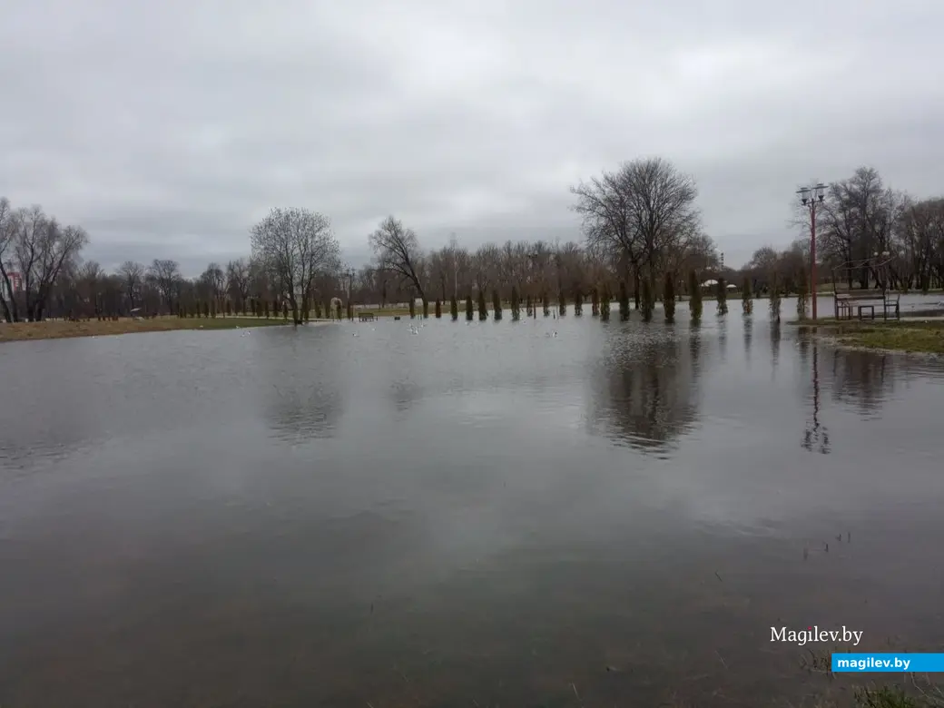 2.04.2023 г. Могилев. Парк Подниколье местами затопило.