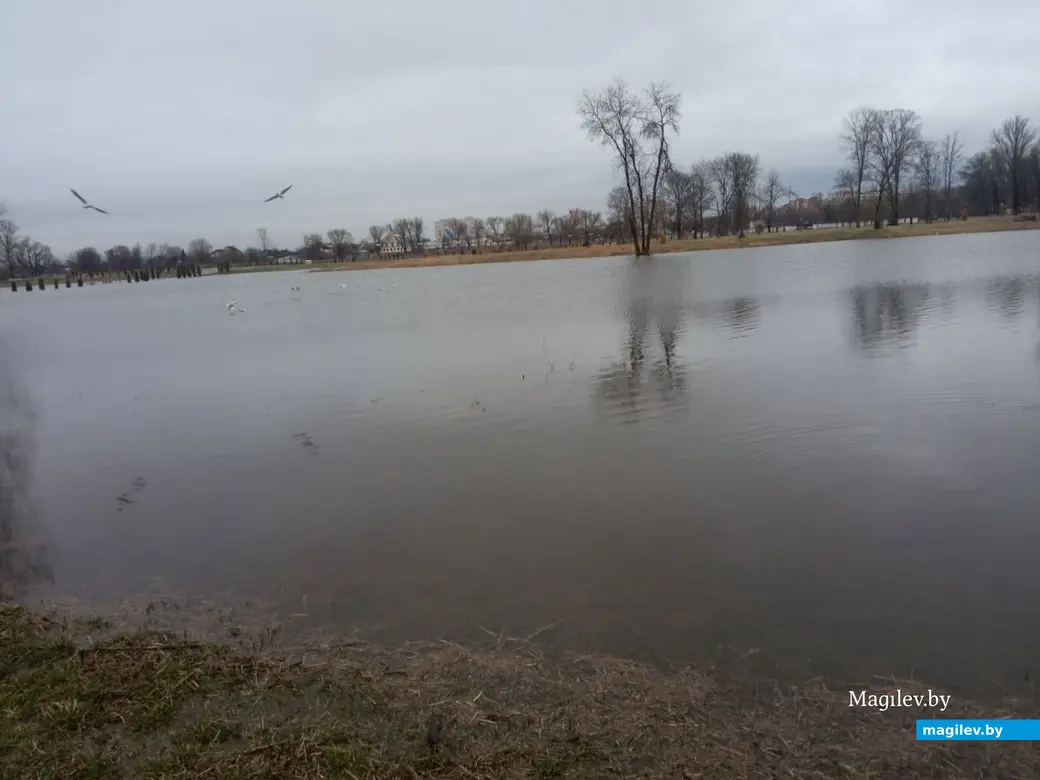 2.04.2023 г. Могилев. Парк Подниколье местами затопило.