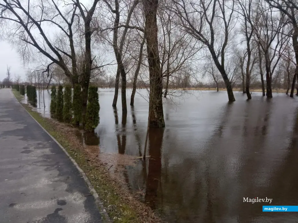 2.04.2023 г. Могилев. Парк Подниколье местами затопило.