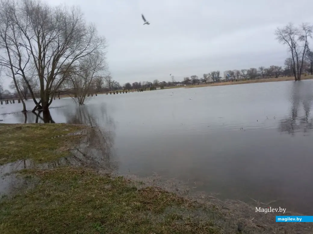 2.04.2023 г. Могилев. Парк Подниколье местами затопило.
