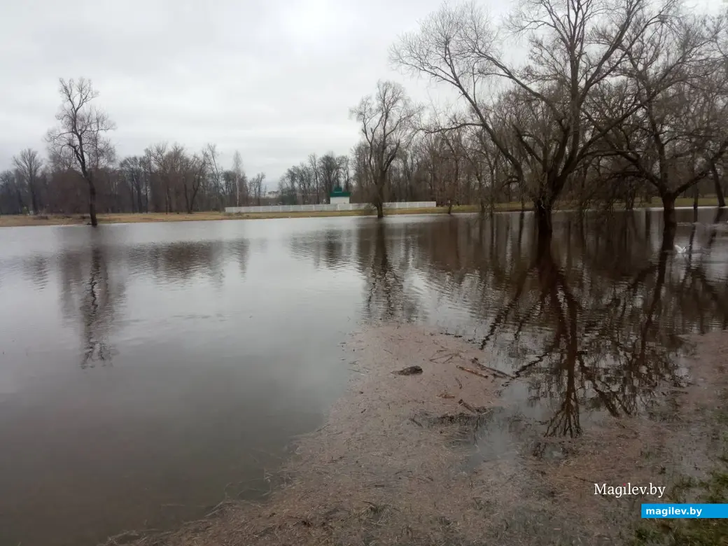 2.04.2023 г. Могилев. Парк Подниколье местами затопило.