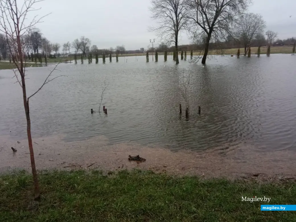2.04.2023 г. Могилев. Парк Подниколье местами затопило.