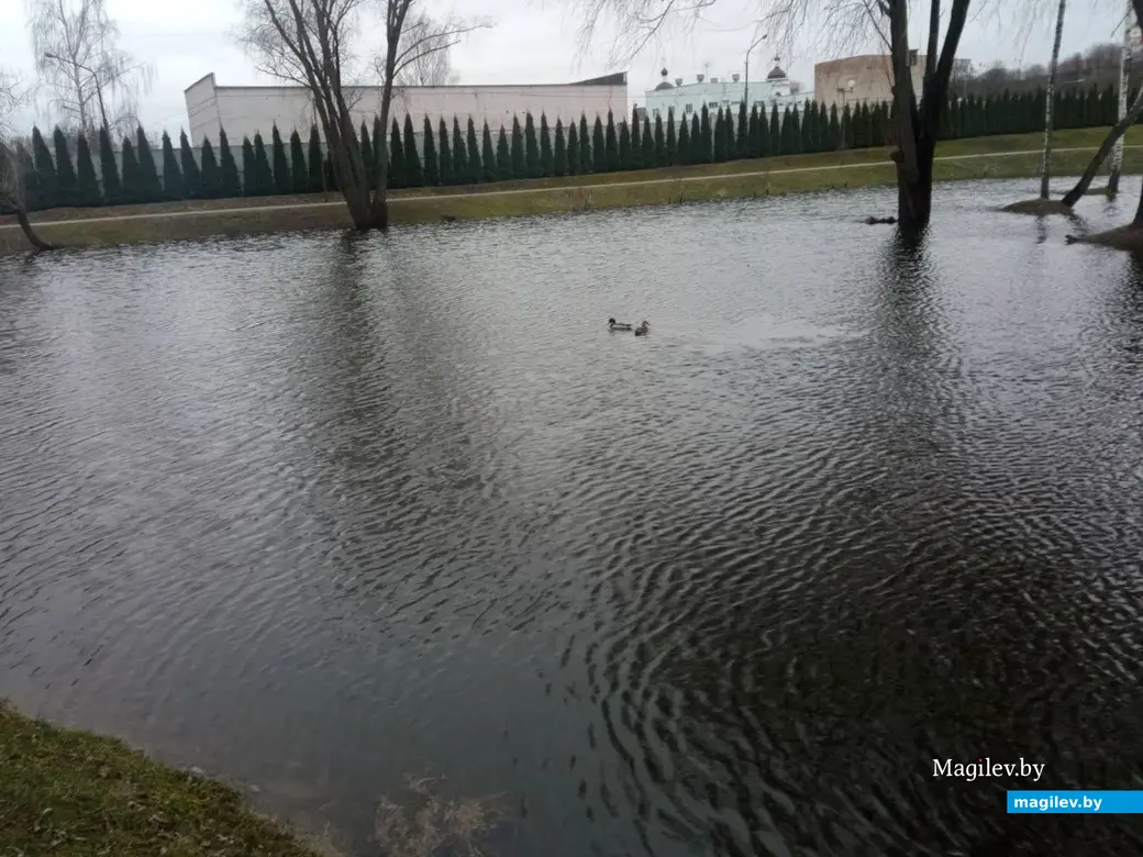 2.04.2023 г. Могилев. Парк Подниколье местами затопило.
