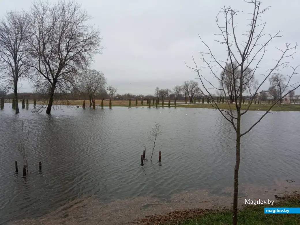 2.04.2023 г. Могилев. Парк Подниколье местами затопило.