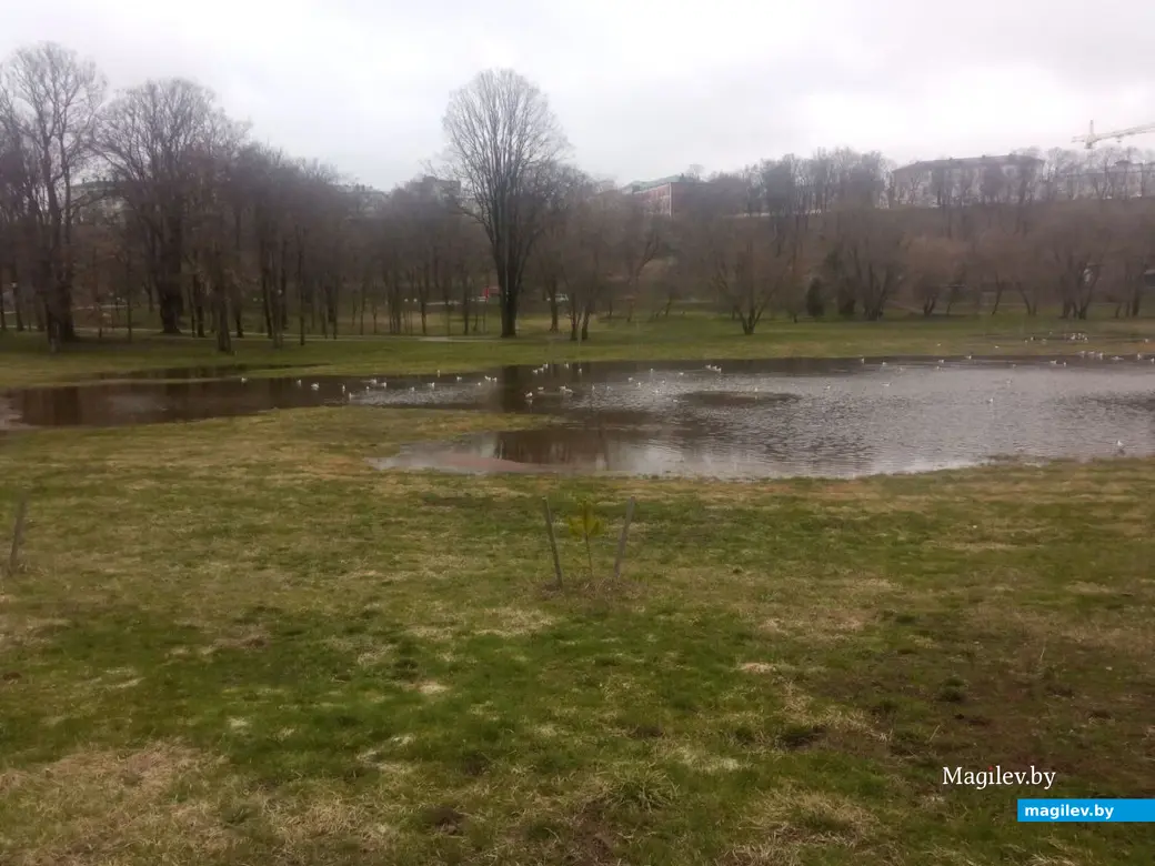 2.04.2023 г. Могилев. Парк Подниколье местами затопило.