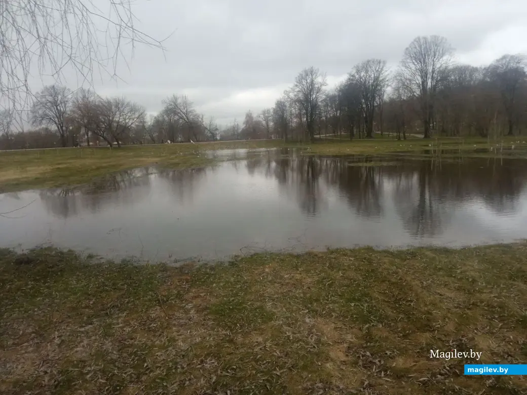 2.04.2023 г. Могилев. Парк Подниколье местами затопило.