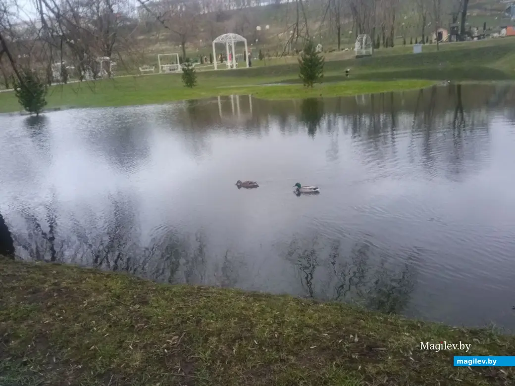 2.04.2023 г. Могилев. Парк Подниколье местами затопило.