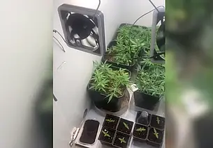 В Бобруйске ликвидирована нарколаборатория на дому