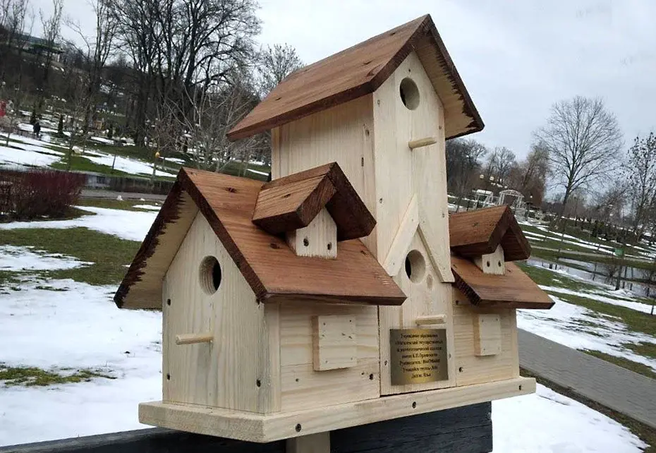 Парк Подниколья. Конкурс «Домик для птиц». Могилев, апрель 2023 год.