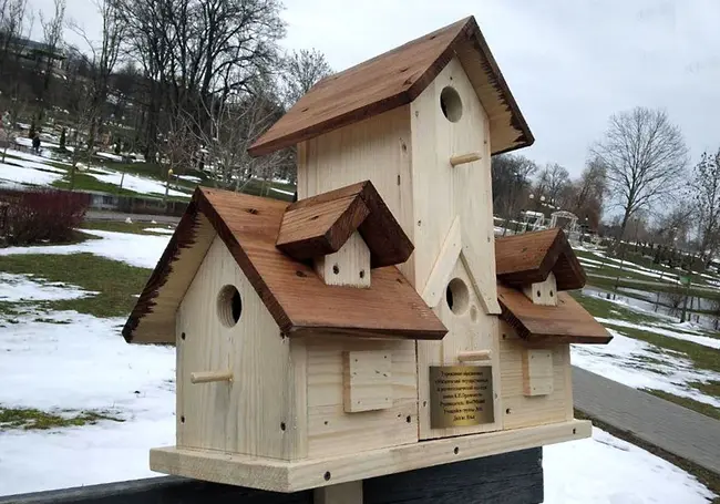 Парк «Подниколье» Могилева объявил о конкурсе «Домик для птиц»