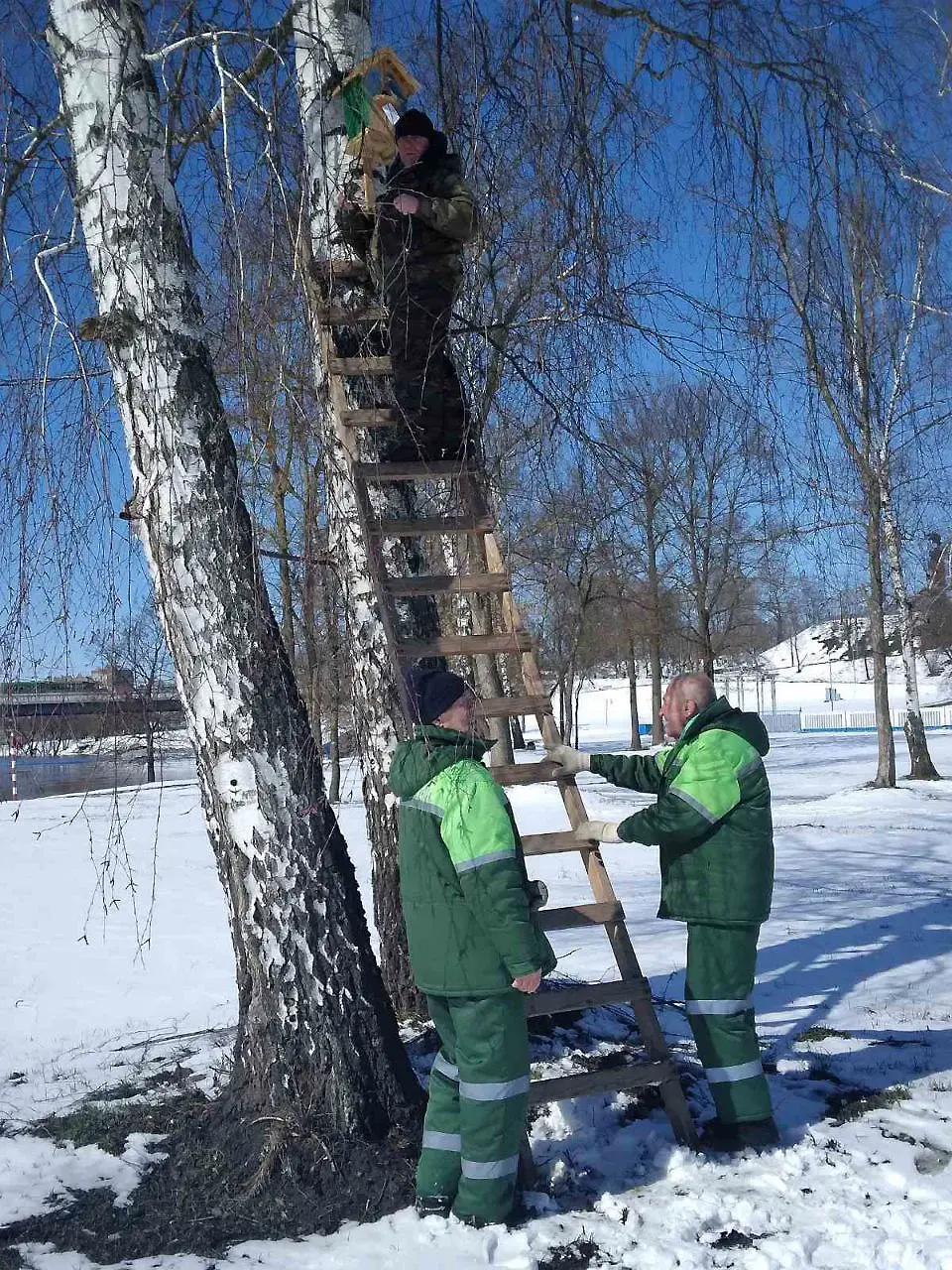 Парк Подниколья. Конкурс «Домик для птиц». Могилев, апрель 2023 год.