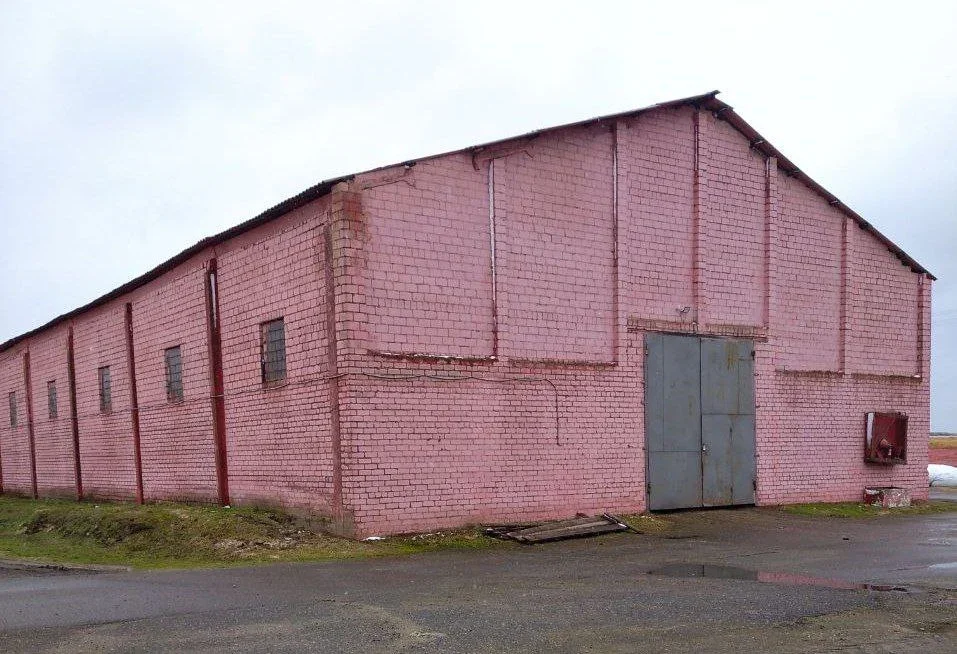 В отношении всех фигурантов следователями возбуждено уголовное дело. Фото: ТГ-канал «Милиция