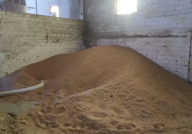 Жители Бобруйского района украли более двух тонн зерна