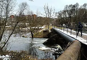 Разлив Дубровенки в Могилеве. Знатное болотце на Карабановке