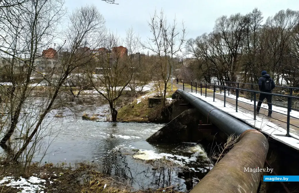 Река Дубровенка в половодье. Вода под мостом, ведущим от Карабановки к «большой земле» «кипит». Вид на красные дома по ул. Орловского. Могилев. 4 апреля 2023 года.