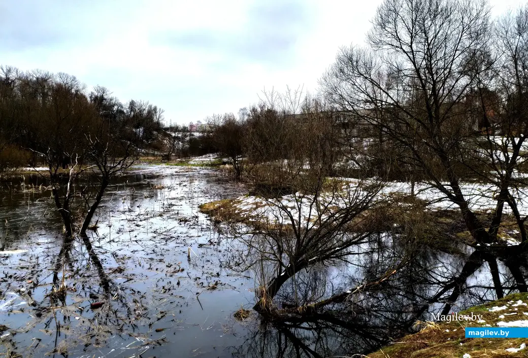 Половодье на Дубровенке в Могилеве вблизи Карабановки. Вдали виднеется железнодорожная линия и насыпь через реку. Могилев. 4 апреля 2023 года.