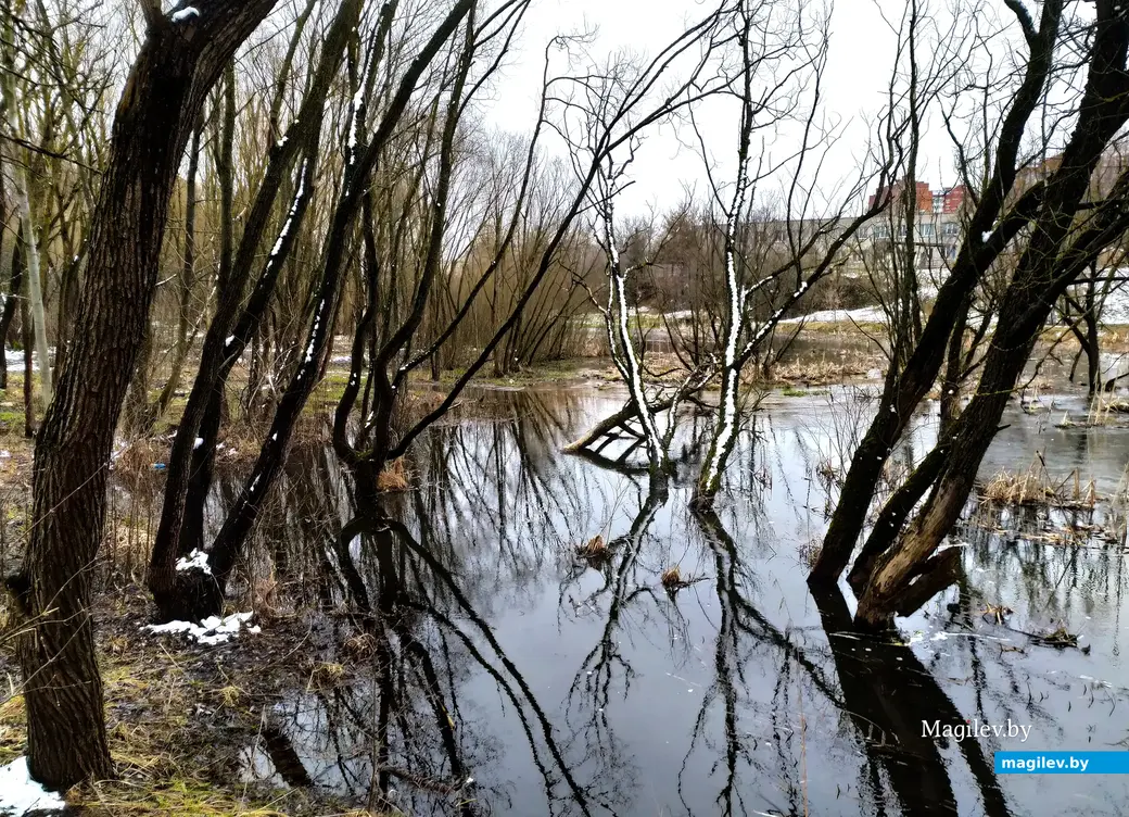 Практически пейзажи с картин Левитана. Дубровенка, Могилев. 4 апреля 2023 года.
