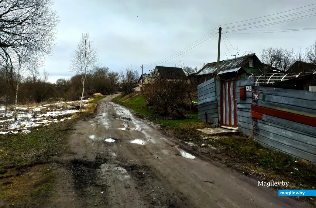 Прогулялась по первой к лугу улице Карабановки. И не скажешь, что в десяти минутах ходьбы – шумные городские дворы и улицы. Деревня деревней. Могилев. 4 апреля 2023 года.