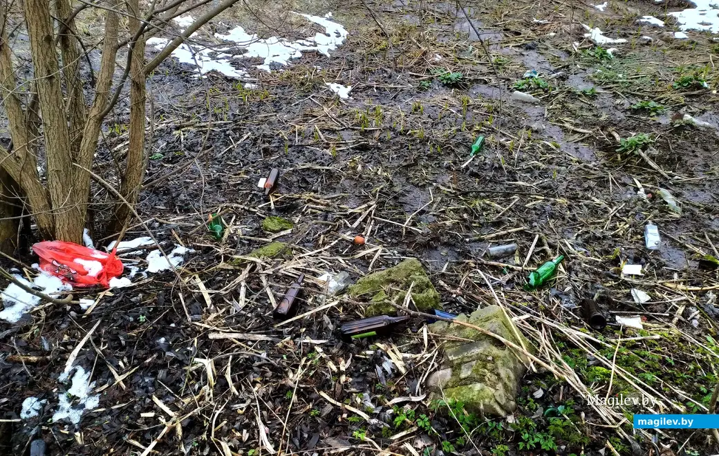 Природу может испортить только человек. Такого добра по обочинам дороги у дубровенковских берегов – навалом. Карабановка, Могилев. 4 апреля 2023 года.