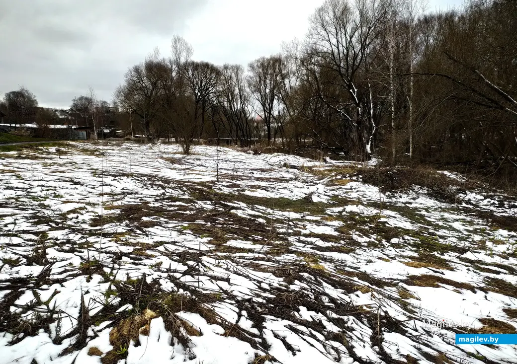 Как бы там ни было, а снег украшает не только нашу серую зиму, но и весну… Карабановка, Могилев. 4 апреля 2023 года.