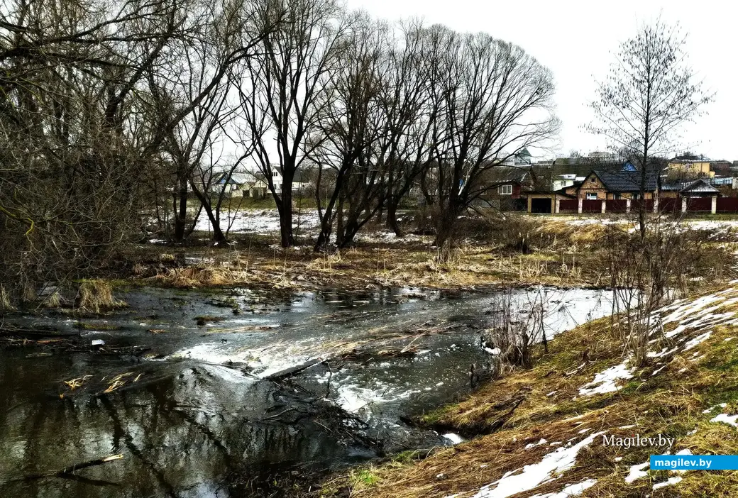 Бурливый порожек Дубровенки в половодье. Вид на Карабановку. Могилев. 4 апреля 2023 года.