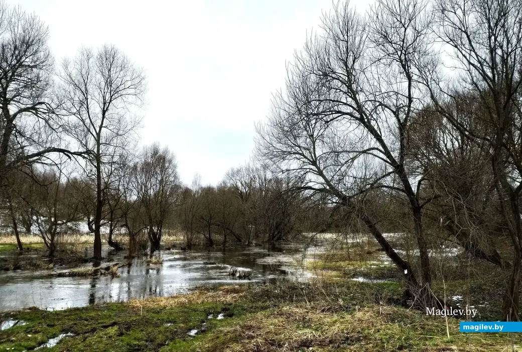 Вид на Дубровенку с карабановских высоких бережков. Могилев. 4 апреля 2023 года. Типичный белорусский деревенский болотный пейзаж.