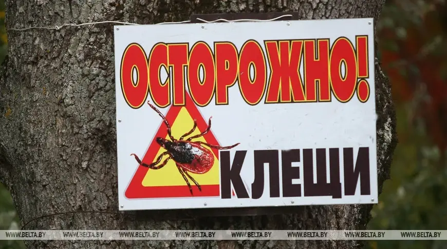 Фото: БЕЛТА. Носит иллюстративный характер