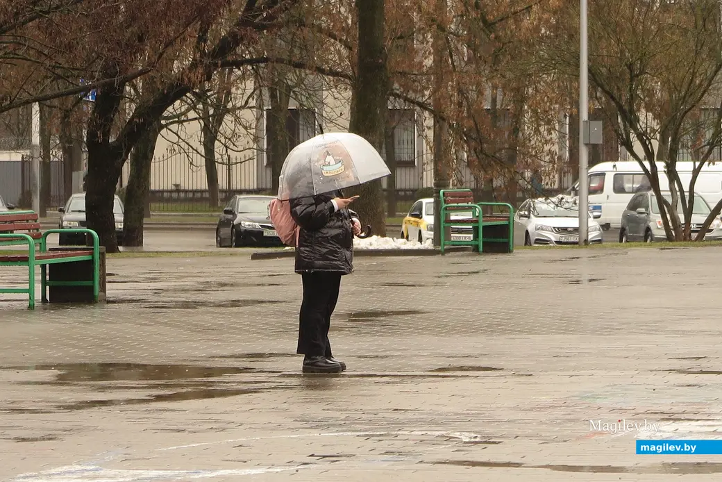 5.04.2023 г. Могилев, сквер 40-летия Победы.