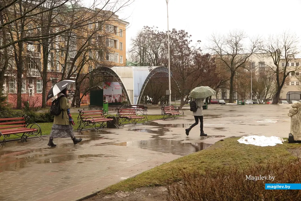 5.04.2023 г. Могилев, сквер 40-летия Победы.