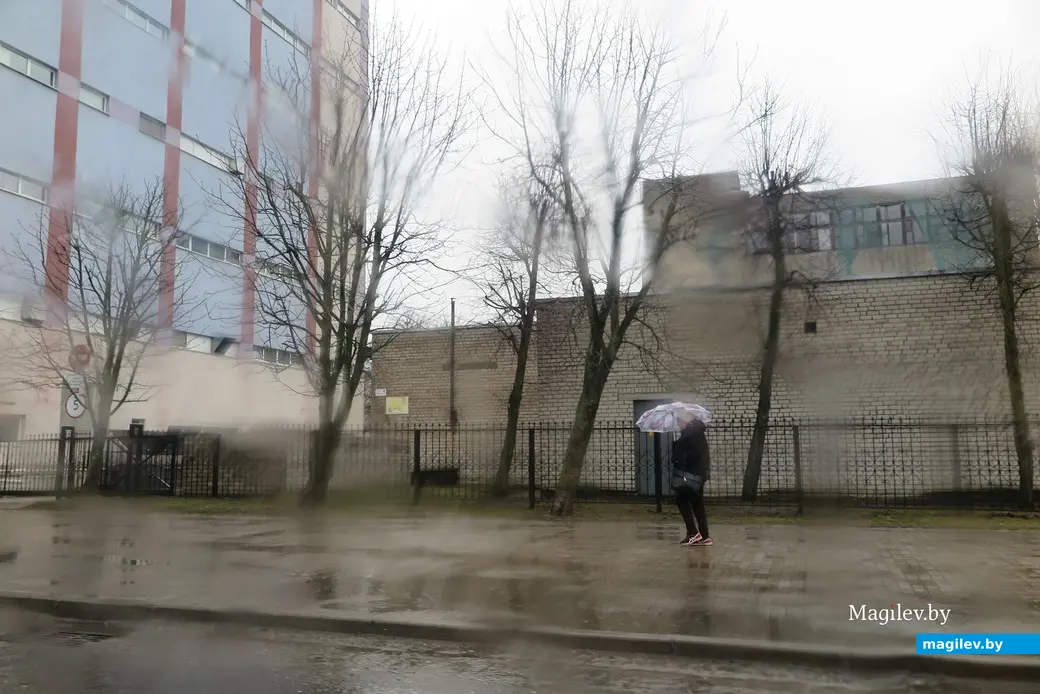 5.04.2023 г. Могилев, ул.Пионерская.