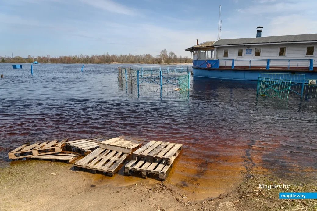 06.04.2023. Химовский сельский Совет. Первомайский район, Химовский сельский Совет, Бобруйский