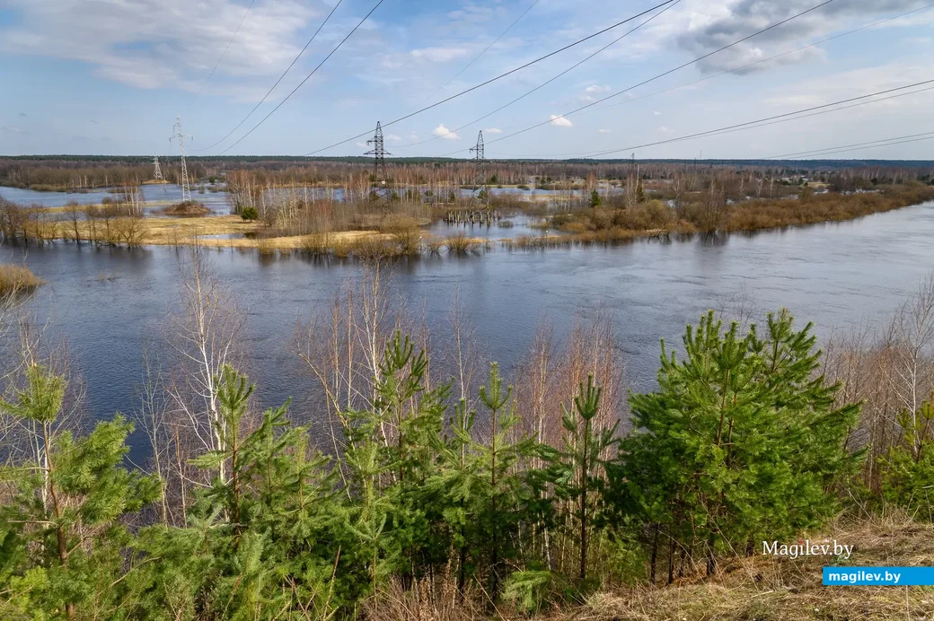 06.04.2023. Бобруйск. Березина, Первомайский район, Бобруйск, Могилёвская область, 213806, Беларусь.
