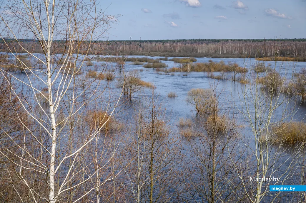 06.04.2023. Бобруйск. Березина, Первомайский район, Бобруйск, Могилёвская область, 213806, Беларусь.