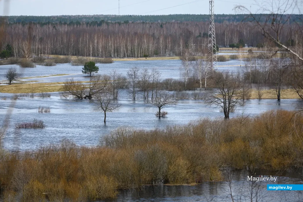 06.04.2023. Бобруйск. 1 улица Березина, Березина, Первомайский район, Бобруйск, Могилёвская