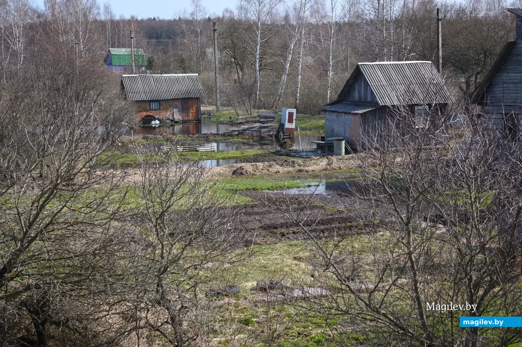 06.04.2023. Горбацевичский сельский Совет. Р31, Горбацевичский сельский Совет, Бобруйский район,