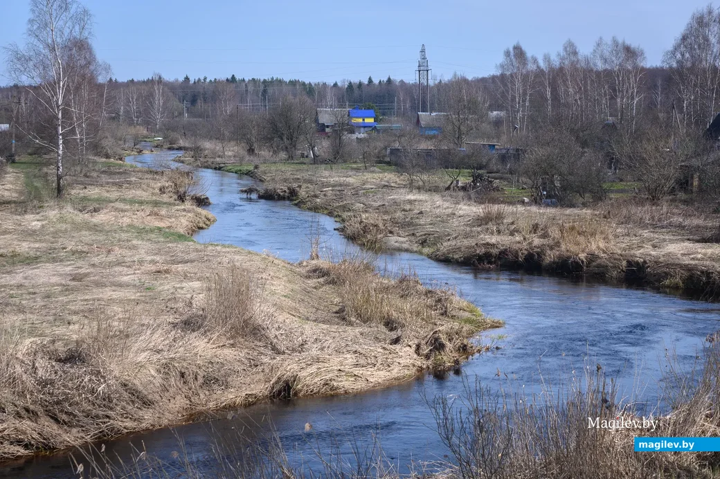 06.04.2023. Сычковский сельский Совет. Р31, Сычковский сельский Совет, Бобруйский район,