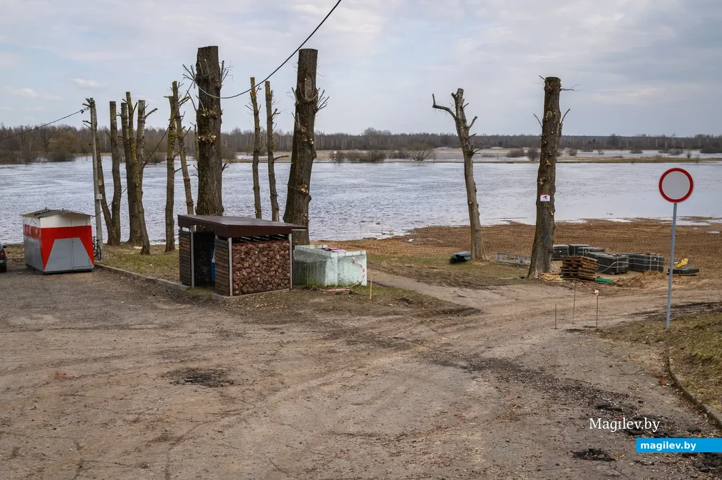 06.04.2023. Бобруйск. Освободителям Бобруйска, Социалистическая улица, Ленинский район, Бобруйск,