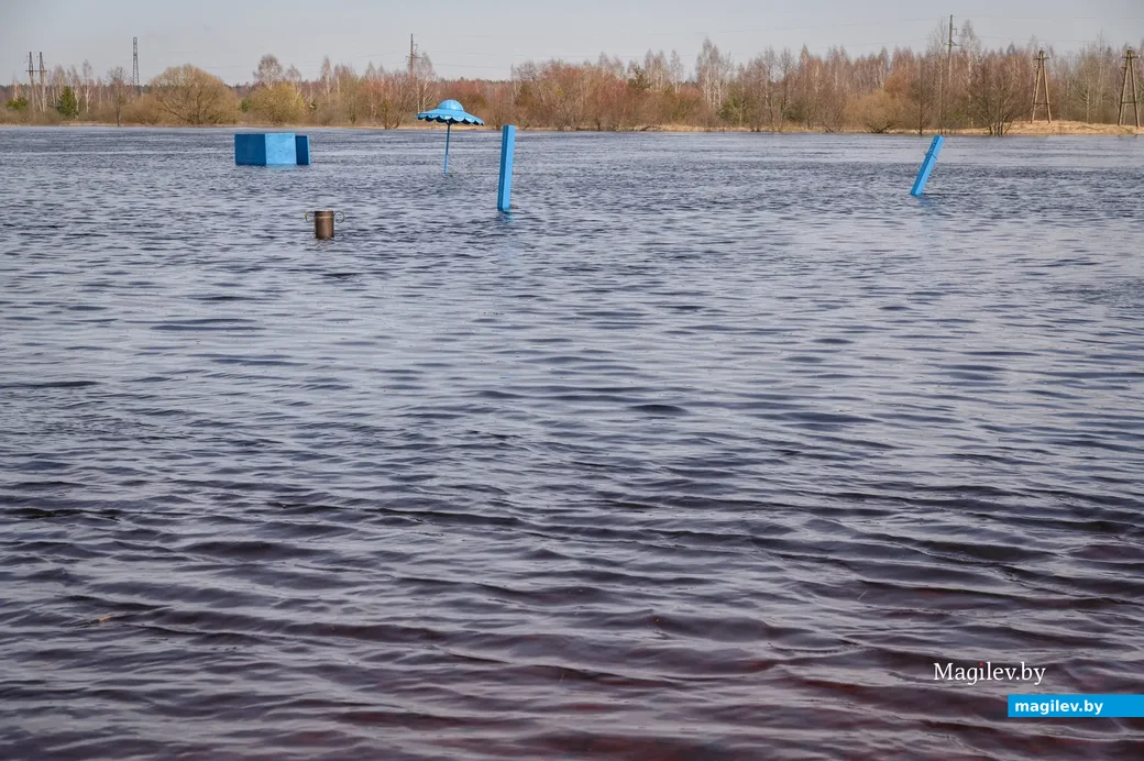 06.04.2023. Химовский сельский Совет. Первомайский район, Химовский сельский Совет, Бобруйский