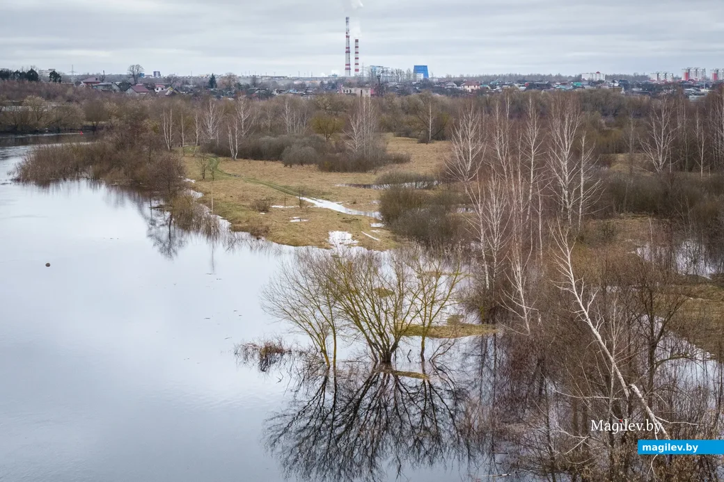 04.04.2023. Химовский сельский Совет. Ленинский район, Химовский сельский Совет, Бобруйский район,