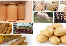 Домашние мясные деликатесы, сок яблочный, более 10 сортов картофеля и не только: подборка бесплатных объявлений