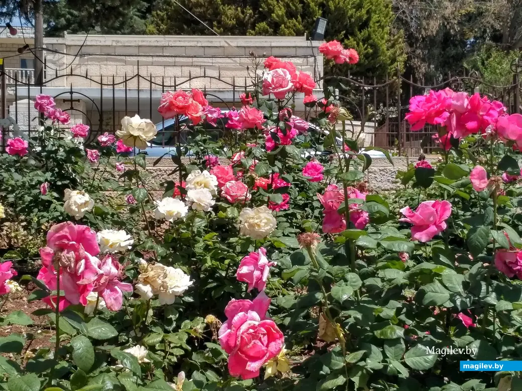 Базилика Благовещенья. Назарет, Израиль. Май 2017 г.