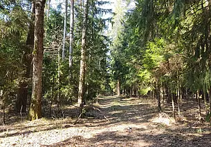 Пикник на природе придется отложить