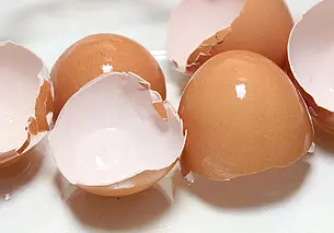 Стоит ли подкармливать растения яичной скорлупой: проверяем народные рецепты