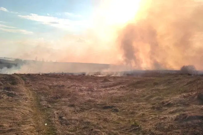 Фото: mstlife.by