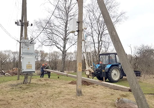 В Глусском районе аист несколько раз лишал деревню электричества, строя гнездо на линии ЛЭП.