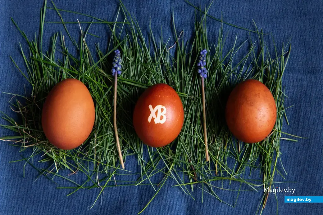 Деревня Брожа, 15 апреля 2023 года.